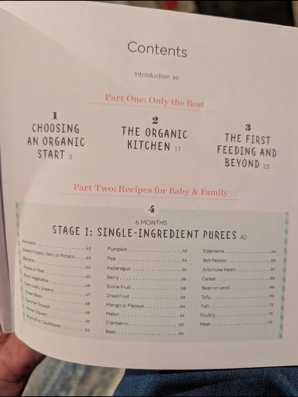The Big Book of Organic Baby Food By Stephanie Middleberg, MS, RD, CDN